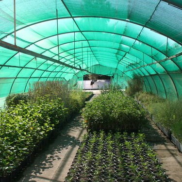 Brochure Sistema Inalámbrico de Medición Invernaderos